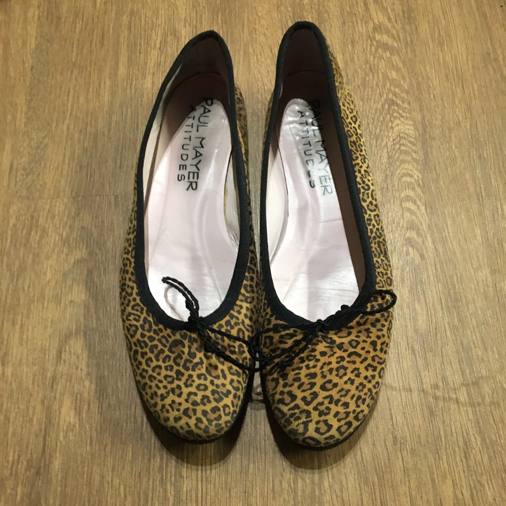 Paul Mayer attitude flats